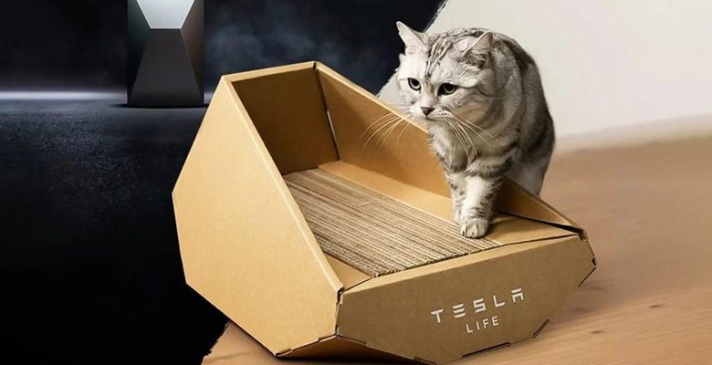 Tesla, garip bir ürünü satışa sundu!